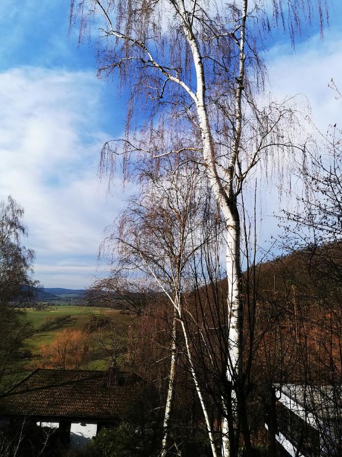Geraeumige 2-Z Wohnung Im Gruenen, Garten, Terrasse, Ruhig, Natur, Phantastischer Blick! Marburg Εξωτερικό φωτογραφία